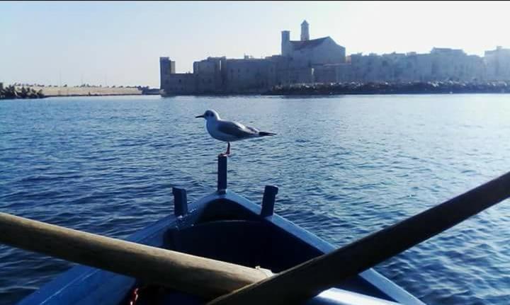 Il Da Vinci Casa Vacanze Giovinazzo Eksteriør billede